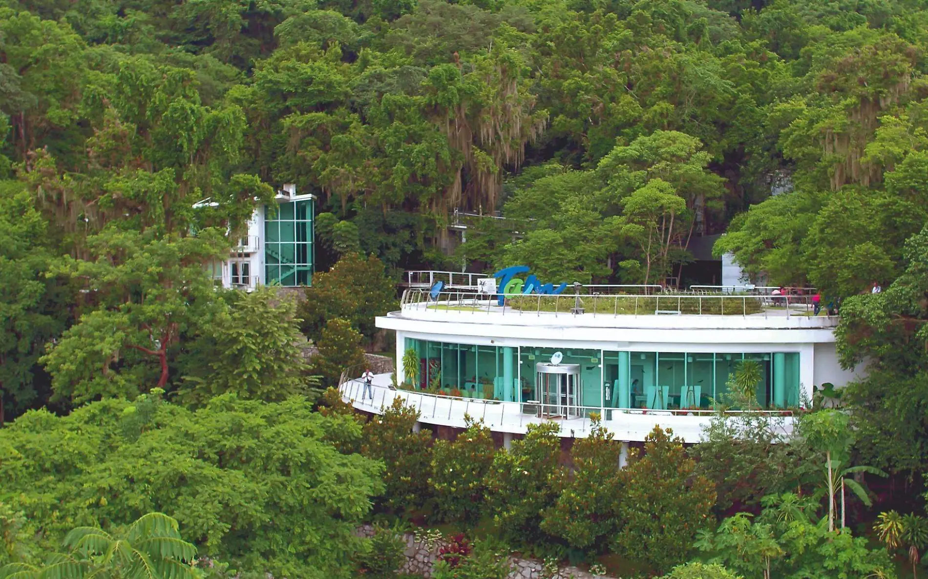 La Reserva de la Biósfera de El Cielo se encuentra en Gómez Farías VisitTamaulipas